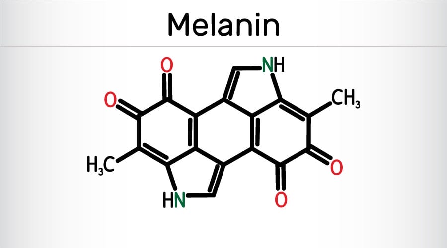 Melanin - nguyên nhân gây nám sâu không chỉ nằm ở thượng bì mà còn nằm sâu dưới lớp trung bì, hạ bì