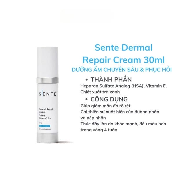 Kem dưỡng ẩm Sente với thành phần HSA